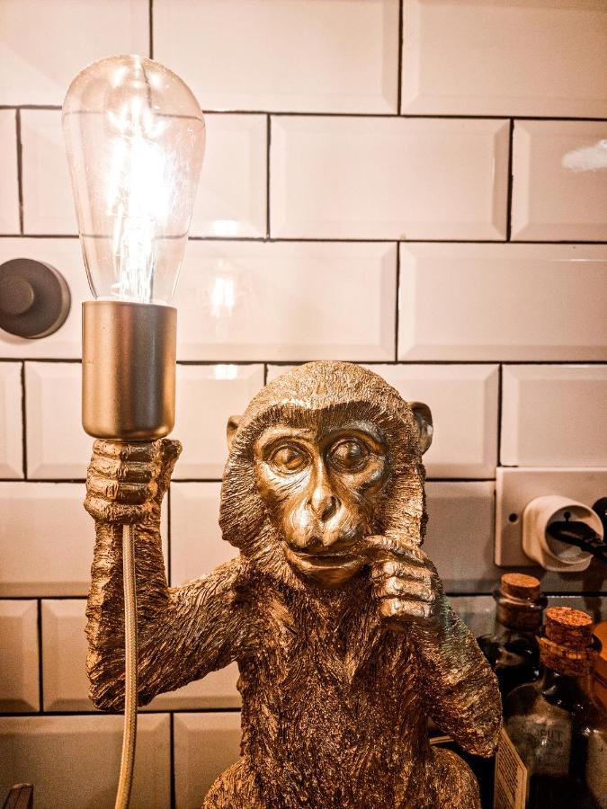 Whole Stylish Apartment 1880S Guinness Worker House ダブリン エクステリア 写真