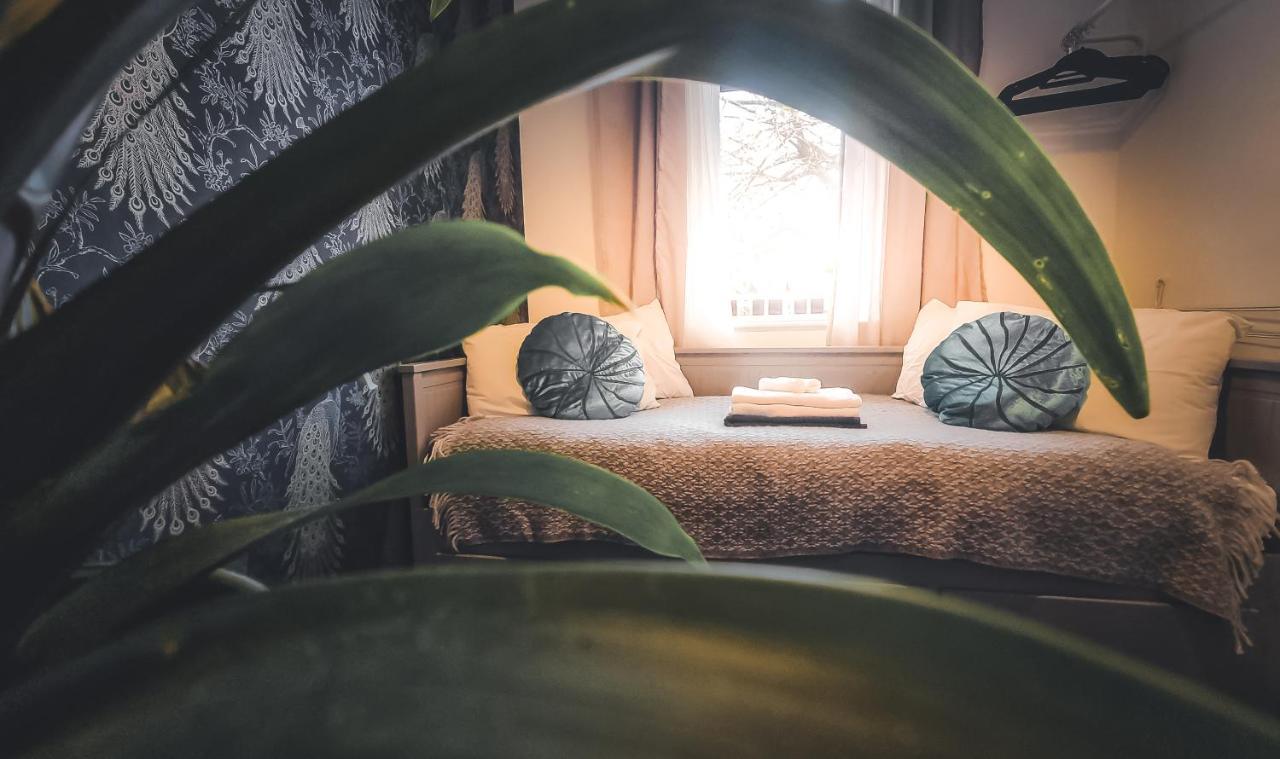 Whole Stylish Apartment 1880S Guinness Worker House ダブリン エクステリア 写真